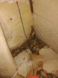IMG_20170821_113812.jpg