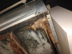 IMG_20170821_113931.jpg