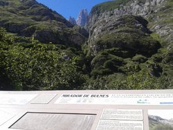 160.jpg