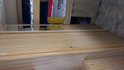 20170824_123354.jpg