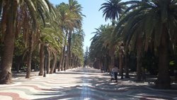 20170916_124146-1.jpg 20170916_124146-1.jpg