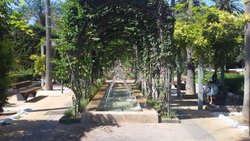 20170916_123838.jpg 20170916_123838.jpg