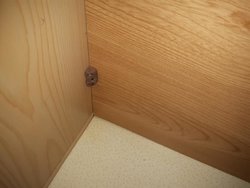 20170917_125947.jpg