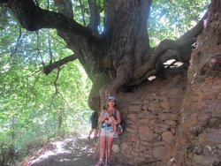 IMG_5442.jpg