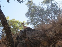 IMG_5476.jpg