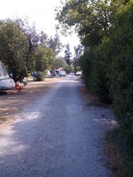 IMG_20170819_170329.jpg