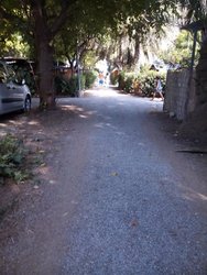 IMG_20170819_170528.jpg