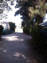 IMG_20170819_170831.jpg