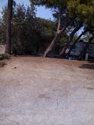 IMG_20170819_171632.jpg