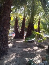 IMG_20170819_171957.jpg