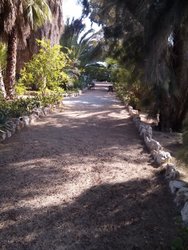 IMG_20170819_172148.jpg