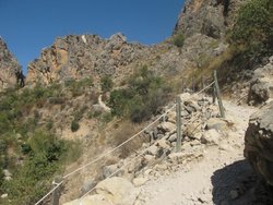 IMG_5666.jpg