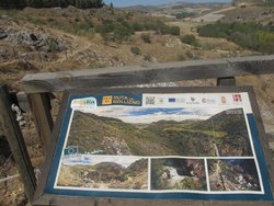 IMG_5686.jpg