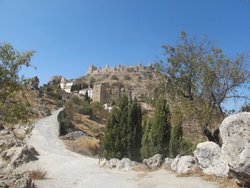 IMG_5692.jpg