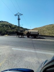 autocaravana a caballo 2.jpg