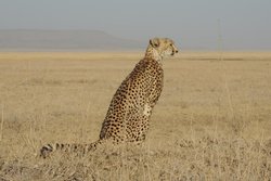 20171007_172858.jpg 20171007_172858.jpg