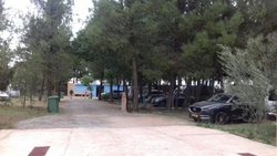 IMG-20171015-WA0001.jpg