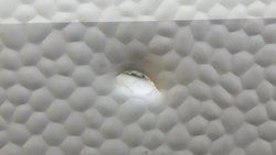 20171012_102813.jpg