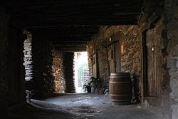 IMG_7874 bis.jpg