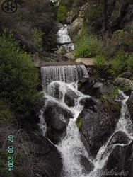 PICT0787.jpg
