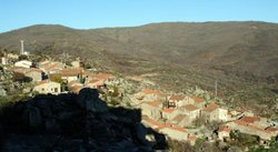 IMG_7888.jpg