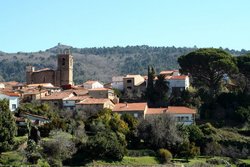 IMG_7866.jpg