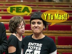 Fea, Gabriel, CUP,Parlament.jpg