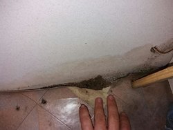 IMG-20171120-WA0019.jpg IMG-20171120-WA0019.jpg