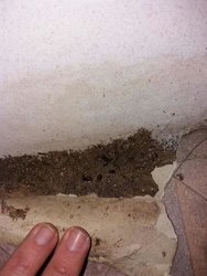 IMG-20171120-WA0018.jpg