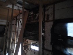 IMG-20171207-WA0001.jpg IMG-20171207-WA0001.jpg