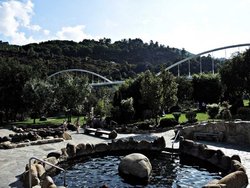 ourense.jpg