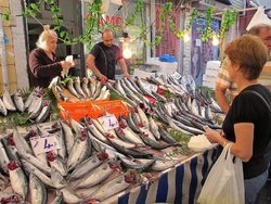 IMG_5854.jpg