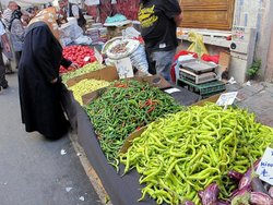 IMG_5871.jpg