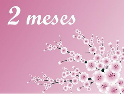 dos meses.png