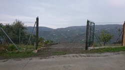 DSC_0594.jpg DSC_0594.jpg