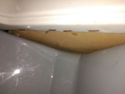 baño13.jpg baño13.jpg