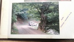 IMG_20170831_141534.jpg