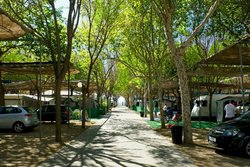 parcelas-camping-playa-almayate-malaga-02.jpg