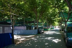 parcelas-camping-playa-almayate-malaga-13.jpg