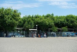 playa-camping-playa-almayate-malaga-45.jpg