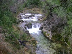 cazorla 009.jpg