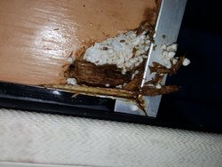 20180324_110023.jpg