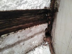IMG_20180331_184233.jpg