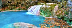 Nacedero_Urederra-787574026.jpg