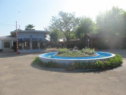 IMG_5951.jpg IMG_5951.jpg