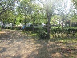 IMG_5948.jpg IMG_5948.jpg