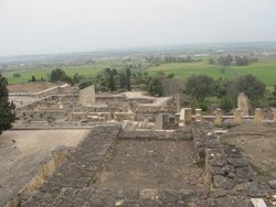 IMG_5817.jpg