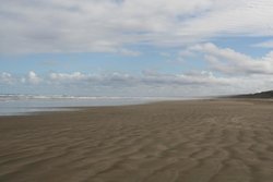 IMG_4651.jpg