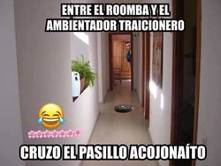 FB_IMG_1528013100340.jpg