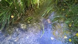 WP_20171008_005.jpg